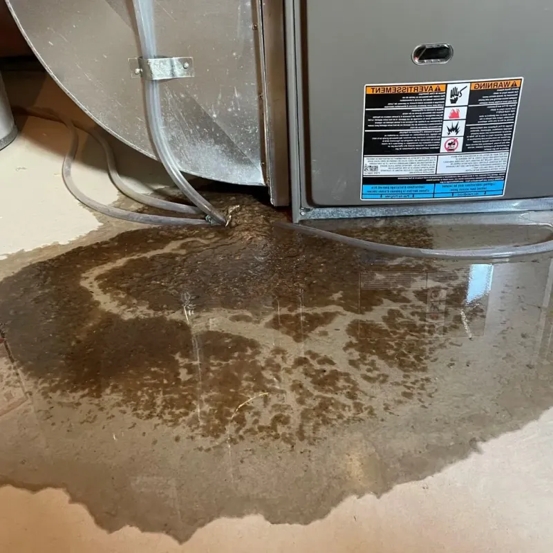 Pipe Burst and Leak Restoration in Marlborough, NH